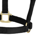 Weaver Equine Original Non-Adjustable Halter - Yearling