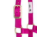 Weaver Equine Original Non-Adjustable Halter - Yearling