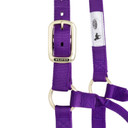 Weaver Leather Original Non-Adjustable Halter - Nylon - Large