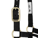 Weaver Leather Original Non-Adjustable Halter - Nylon - Large