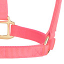 Weaver Leather Original Non-Adjustable Halter - Nylon - Large