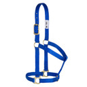 Weaver Leather Basic Non-Adjustable Halter