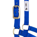 Weaver Leather Basic Non-Adjustable Halter