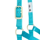 Weaver Leather Basic Non-Adjustable Halter