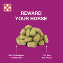 Purina Nicker Makers Horse Treat