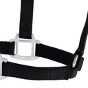 Weaver Leather Chrome Plated Non-Adjustable Nylon Halter - Average