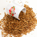 Happy Hen Treats Mealworm Frenzy - 5 lb