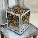 Happy Hen Treats Bug Bonanza Chicken Treat - 30 oz