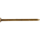 Hillman Fas-N-Tite Vinyl Coated Sinker Nail - Gold