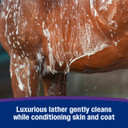 Farnam Vetrolin Moisturizing Body Wash - 32 oz
