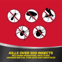 Amdro Quick Kill Outdoor Insect Killer Concentrate - 32 oz