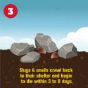 Corry's Slug & Snail Killer Bait - 1.75 lb