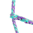 Weaver Livestock Poly Rope Sheep Halter