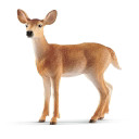 Schleich White-tailed Doe Figurine - 3-3/8" X 1-3/8" X 3-3/8"