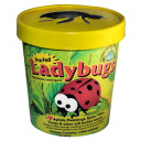 Tip Top Bio Pre-fed Live Ladybugs In Cup