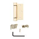 National Hardware Brass Spring Hinges - 4"