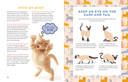 Workman Storey A Kids Guide to Cats Book
