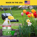 PF Harris 30% Industrial Strength White Cleaning Vinegar - 1 gal