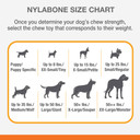 Nylabone Moderate Textured Dental Chew Dog Toy