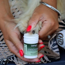 Coastal Pet Safari Pet Styptic Powder - 0.5 oz