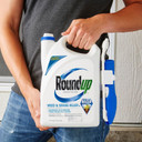 Roundup Ready-to-use Weed & Grass Killer III with Comfort Wand - 1.33 gal