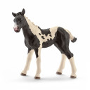 Schleich Pinto Foal Figurine - 3-3/8" X 1-1/4" X 3-1/8"