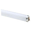 Westpointe 48" Linear Fluorescent Tube - 32 W