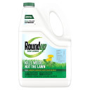 Roundup for Lawns 1 Refill - 1.25 gal