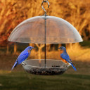 Audubon Dome-top Bluebird Feeder