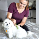 Coastal Pet Safari Dog Stainless Steel Mat Remover - 6-1/4"