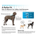 Coastal Pet Titan Easy-on Dog Prong Training Collar with Buckle - 3.3mm X 20" - Black