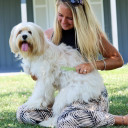 Coastal Pet Safari Dog Flea Comb for Short Coats - 6-1/4" X 1-1/2"