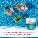 Hth Alkalinity Increaser Treatment - 5 lb
