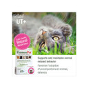 Homeopet Feline Uti+ - 15ml