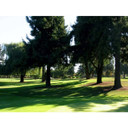 Boreal Creeping Red Fescue Grass Seed