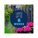 BioAdvanced All-in-One Rose & Flower Care Concentrate - 64 oz