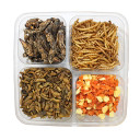 Exotic Nutrition Hedgehog Treat Variety Pack - 5 oz