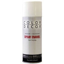 Color Decor Interior/Exterior Aerosol Spray Enamel Paint - 10 oz