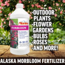 Alaska Morbloom Fertilizer - 1 Qt