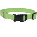 Coastal Pet Lime Adjustable Dog Collar With Plastic Buckle - 3/8" X 8"-12"