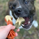 Whimzees Brushzees All Natural Daily Dental Dog Treat