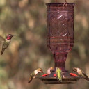 More Birds Amethyst Jewel Hummingbird Feeder with Vintage Glass Bottle - 20 oz