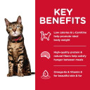 Hill's Science Diet Adult Light Cat Food - 4 lb