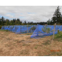 American Nettings Big Bug Netting - Midnight Blue - 8' x 16'