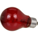 Zoo Med Nightlight Red Reptile Bulb - 60 W