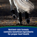 Farnam Horseshoer's Secret Pelleted Hoof Supplement - 11 lb