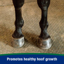 Farnam Horseshoer's Secret Pelleted Hoof Supplement - 11 lb