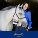 Farnam Weight Builder Premium Concentrated Feed Supplement - 7.5 lb
