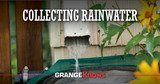 Collecting Rainwater 