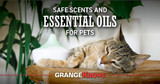 Safe Scents and Essential Oils for Pets